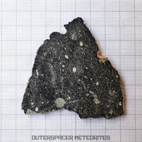 NWA 13951 (alias. Lunaire Nuit Étoilée) - Brèche Feldspathique Lunaire - Tranche Complète - 19.76g - Mauritanie