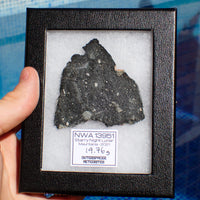 NWA 13951 (alias. Lunaire Nuit Étoilée) - Brèche Feldspathique Lunaire - Tranche Complète - 19.76g - Mauritanie