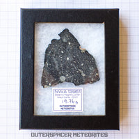 NWA 13951 (alias. Lunaire Nuit Étoilée) - Brèche Feldspathique Lunaire - Tranche Complète - 19.76g - Mauritanie
