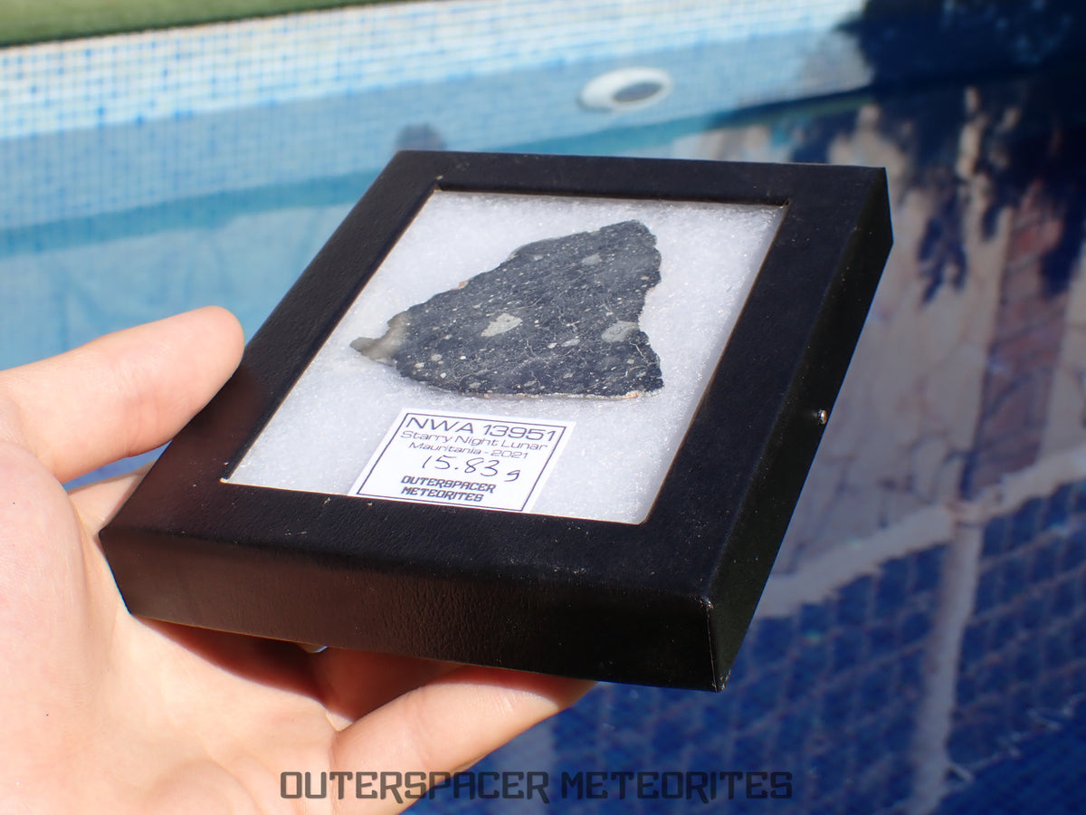 NWA 13951 (alias Starry Night Lunar) - Brèche Feldspathique Lunaire - Tranche Complète - 15,83g - Mauritanie