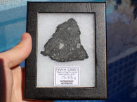 NWA 13951 (alias Starry Night Lunar) - Brèche Feldspathique Lunaire - Tranche Complète - 15,83g - Mauritanie