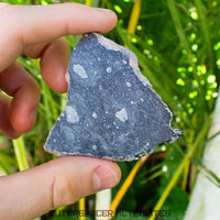 NWA 13951 (alias Starry Night Lunar) - Brèche Feldspathique Lunaire - Tranche Complète - 15,83g - Mauritanie