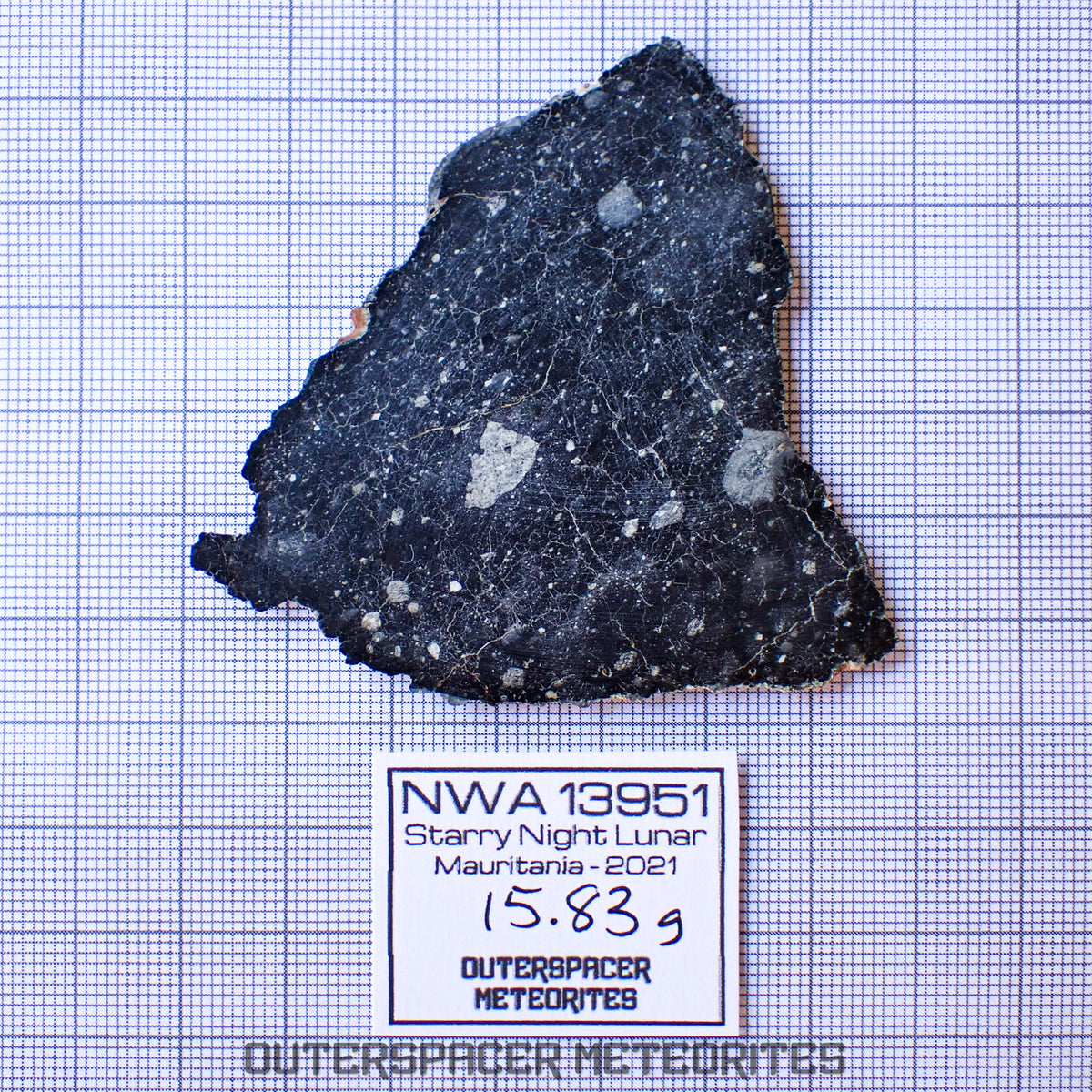 NWA 13951 (alias Starry Night Lunar) - Brèche Feldspathique Lunaire - Tranche Complète - 15,83g - Mauritanie