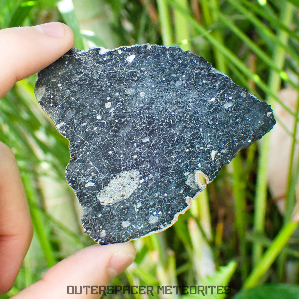 NWA 13951 (aka. Starry Night Lunar) - Lunar Feldspathic Breccia - Complete Slice - 25.22g - Mauritania