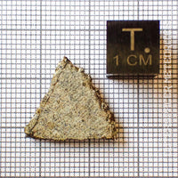 NWA 13227 - Martian Shergottite - Partial Slice - 1.5g - Northwest Africa