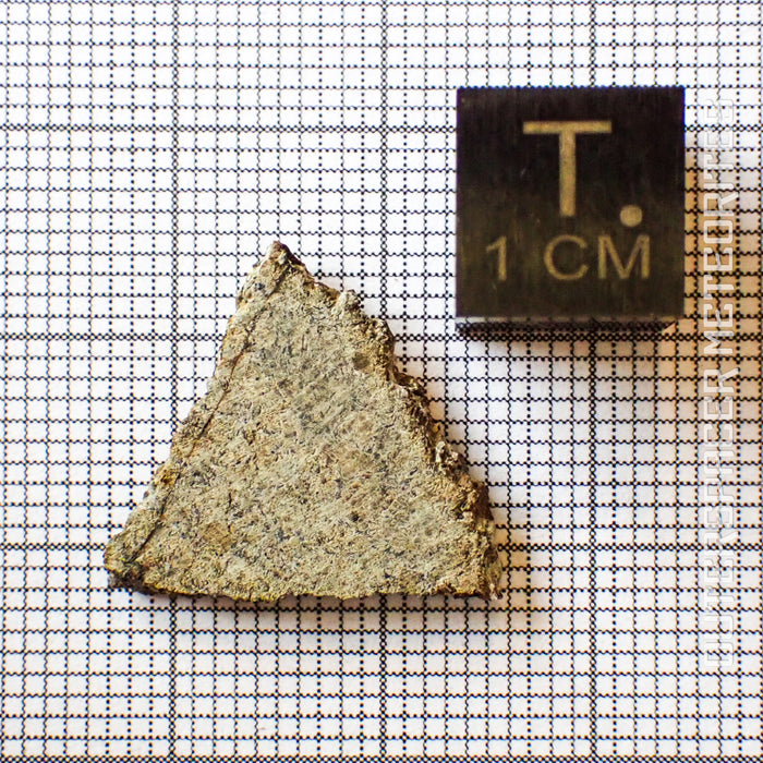 NWA 13227 - Martian Shergottite - Partial Slice - 1.5g - Northwest Africa