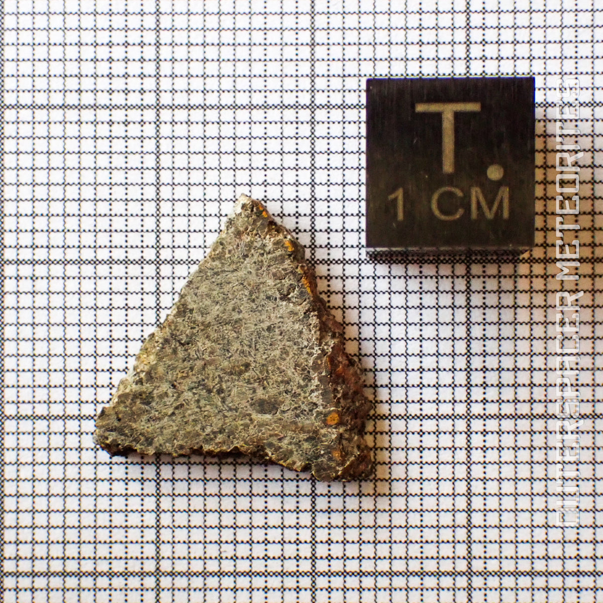 NWA 13227 - Martian Shergottite - Partial Slice - 1.5g - Northwest Africa