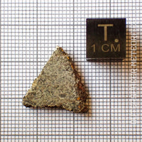 NWA 13227 - Martian Shergottite - Partial Slice - 1.5g - Northwest Africa