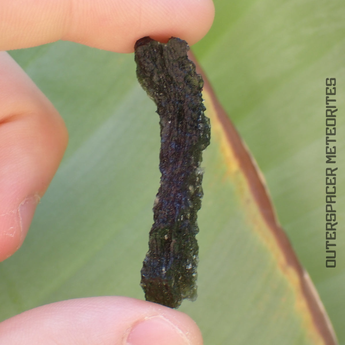 Moldavite - Tektite - Complete Individual - 8.79g - Czechia (Besednice sever)