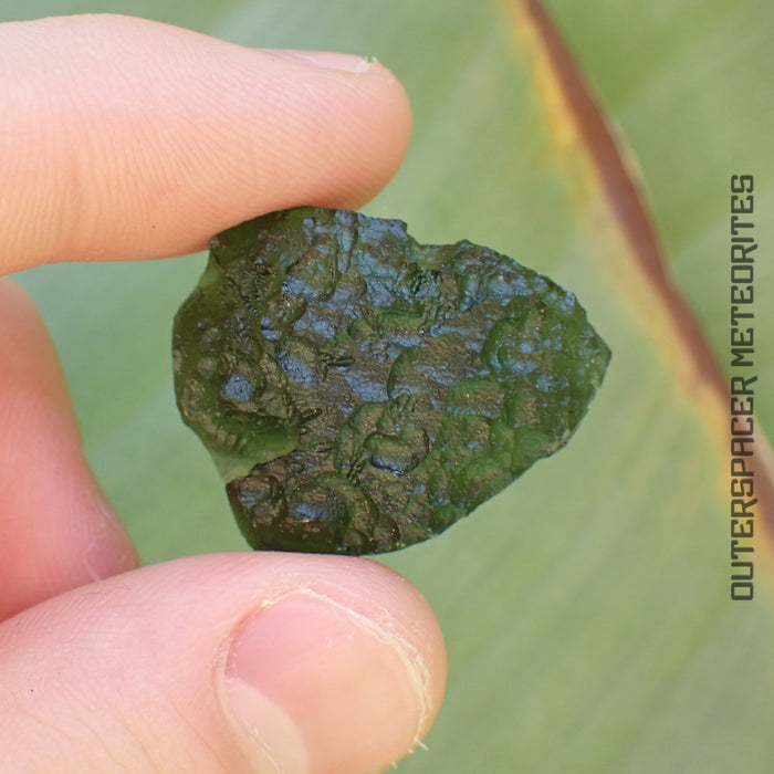 Moldavite - Tektite - Complete Individual - 7.08g - Czechia (Besednice sever)