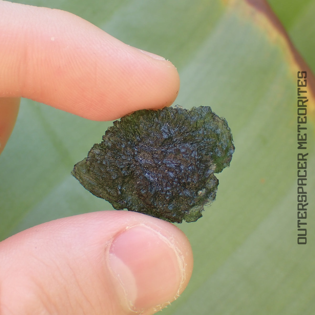 Moldavite - Tectite - Individu complet - 6.41g - Tchéquie (Besednice sever)