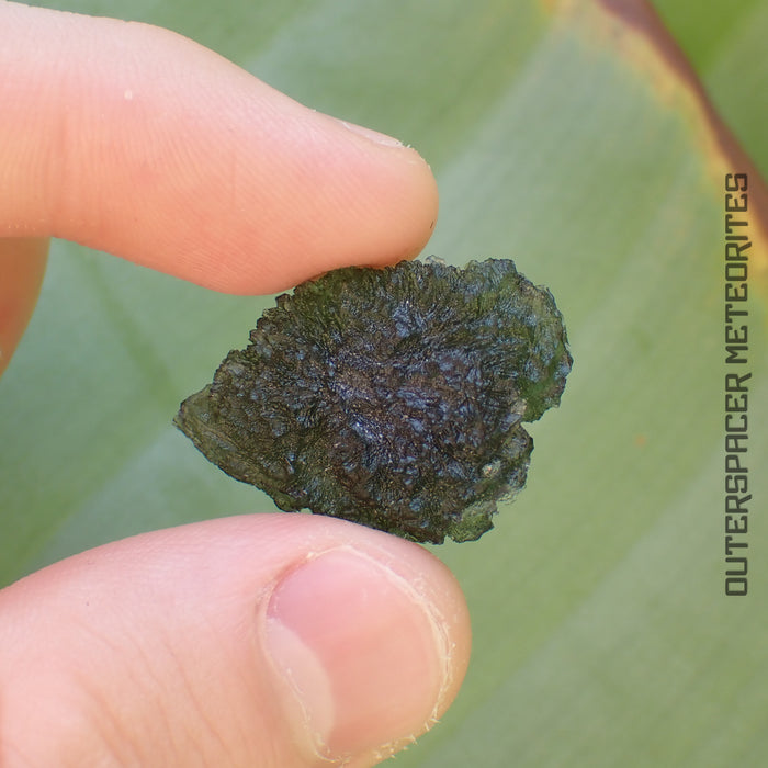 Moldavite - Tektite - Complete Individual - 6.41g - Czechia (Besednice sever)