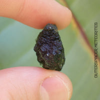 Moldavite - Tectite - Individu complet - 6.41g - Tchéquie (Besednice sever)
