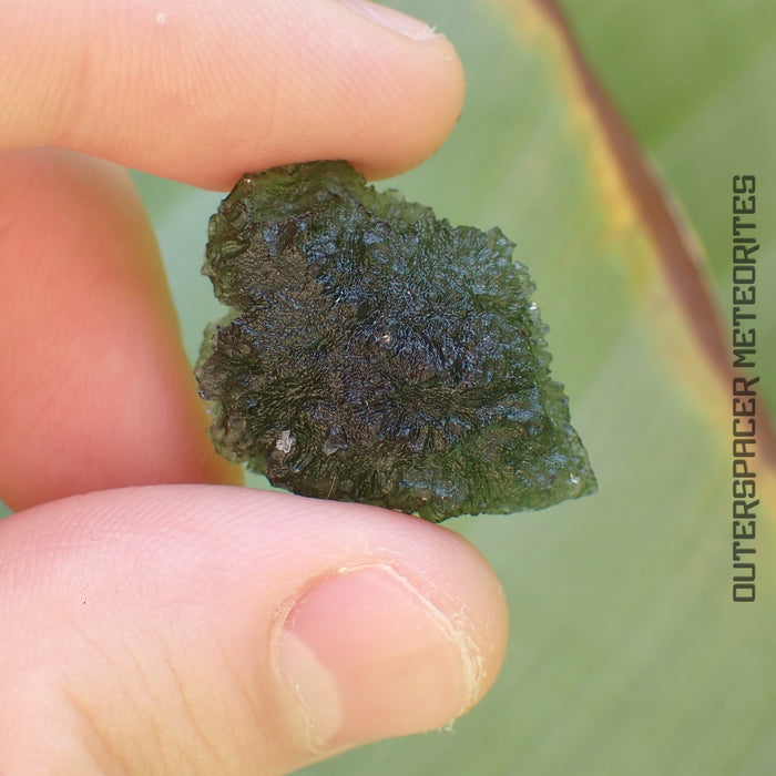 Moldavite - Tektite - Complete Individual - 6.41g - Czechia (Besednice sever)
