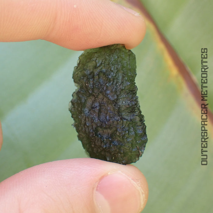 Moldavite - Tektite - Complete Individual - 6.53g - Czechia (Besednice sever)