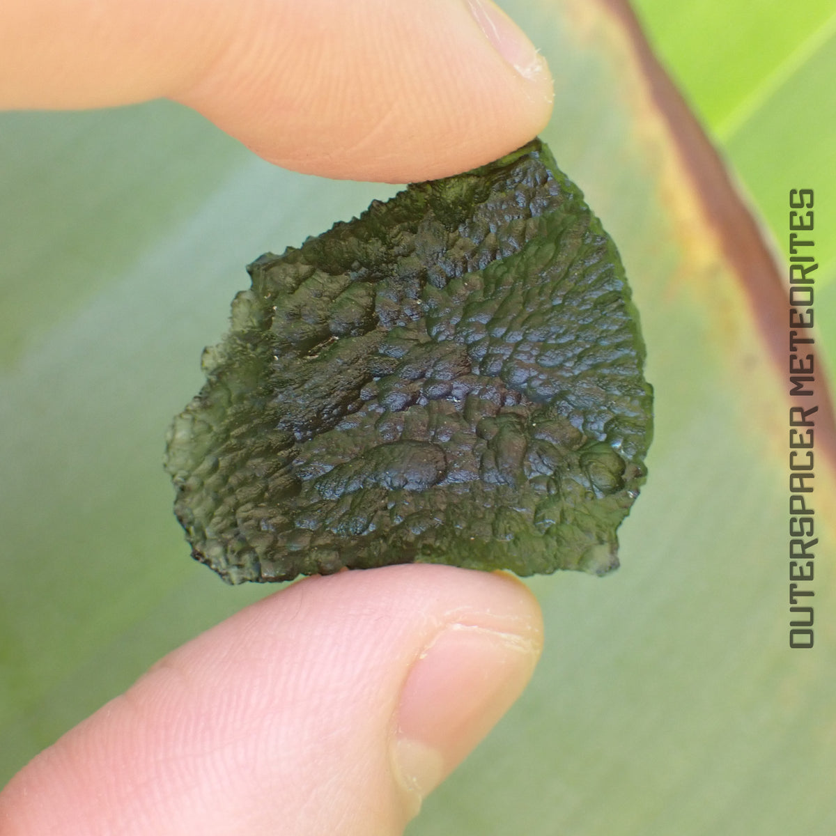 Moldavite - Tektite - Individu complet - 7.82g - Tchéquie (Besednice sever)