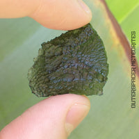 Moldavite - Tektite - Individu complet - 7.82g - Tchéquie (Besednice sever)