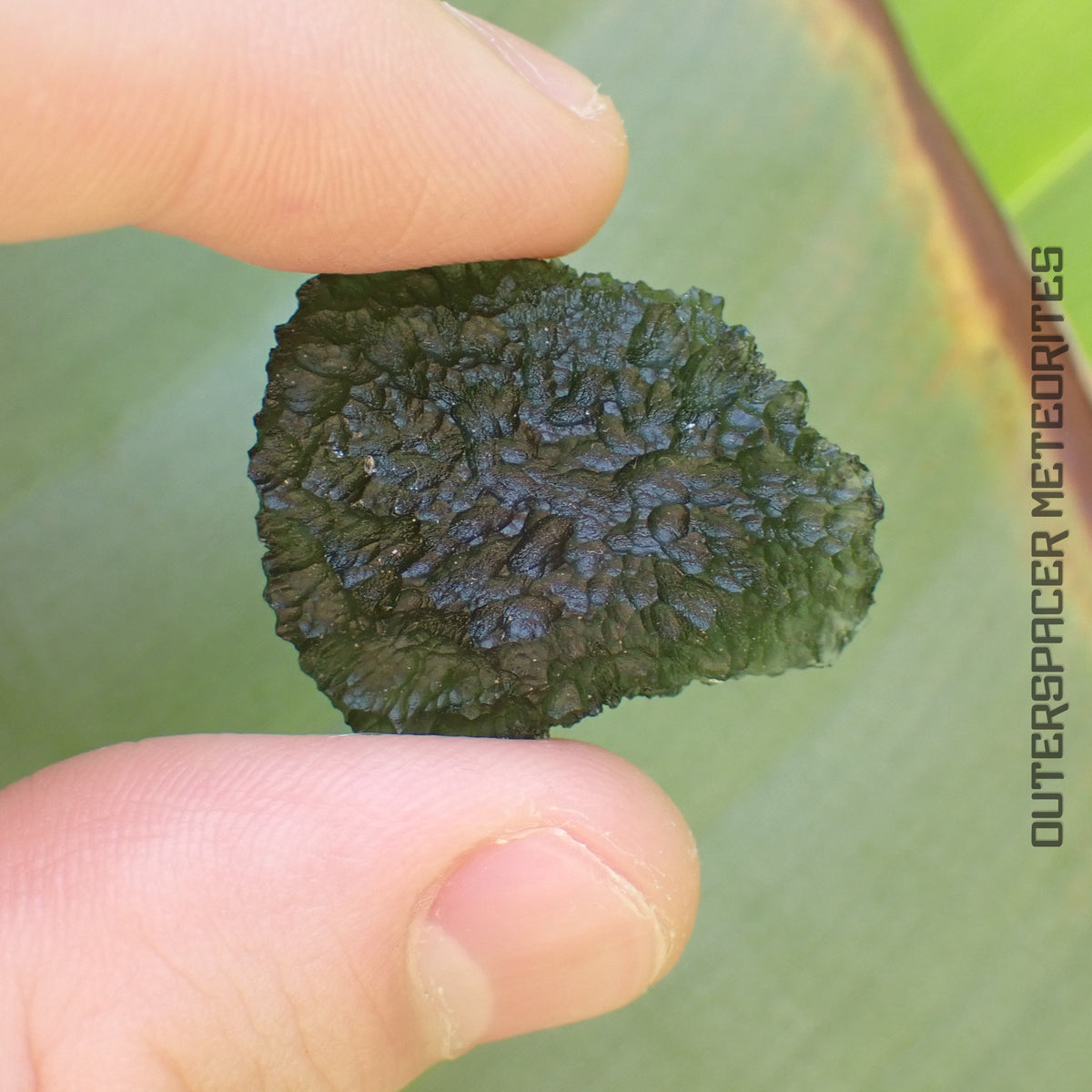 Moldavite - Tektite - Individu complet - 7.82g - Tchéquie (Besednice sever)