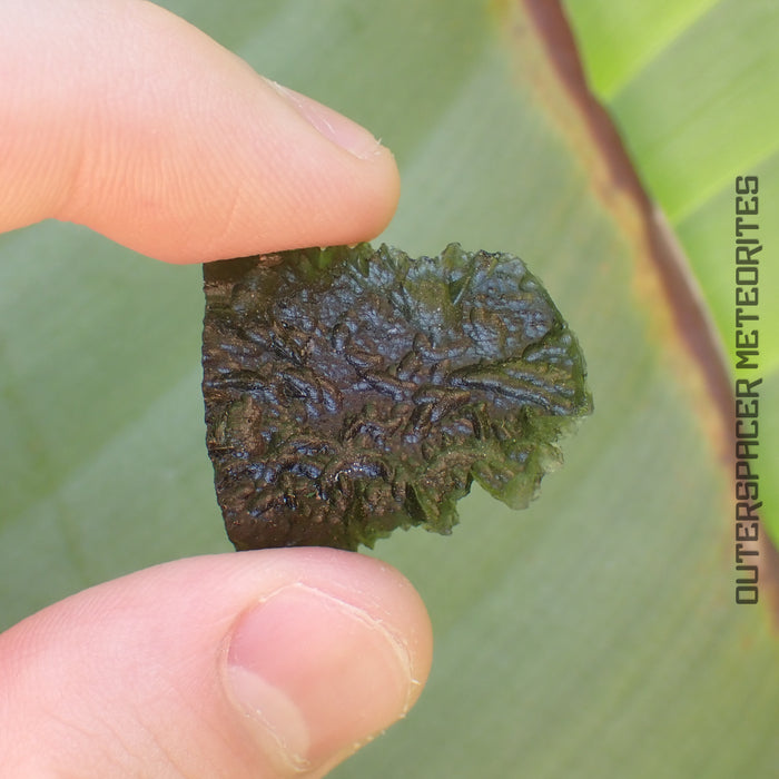Moldavite - Tektite - Complete Individual - 5.83g - Czechia (Besednice sever)