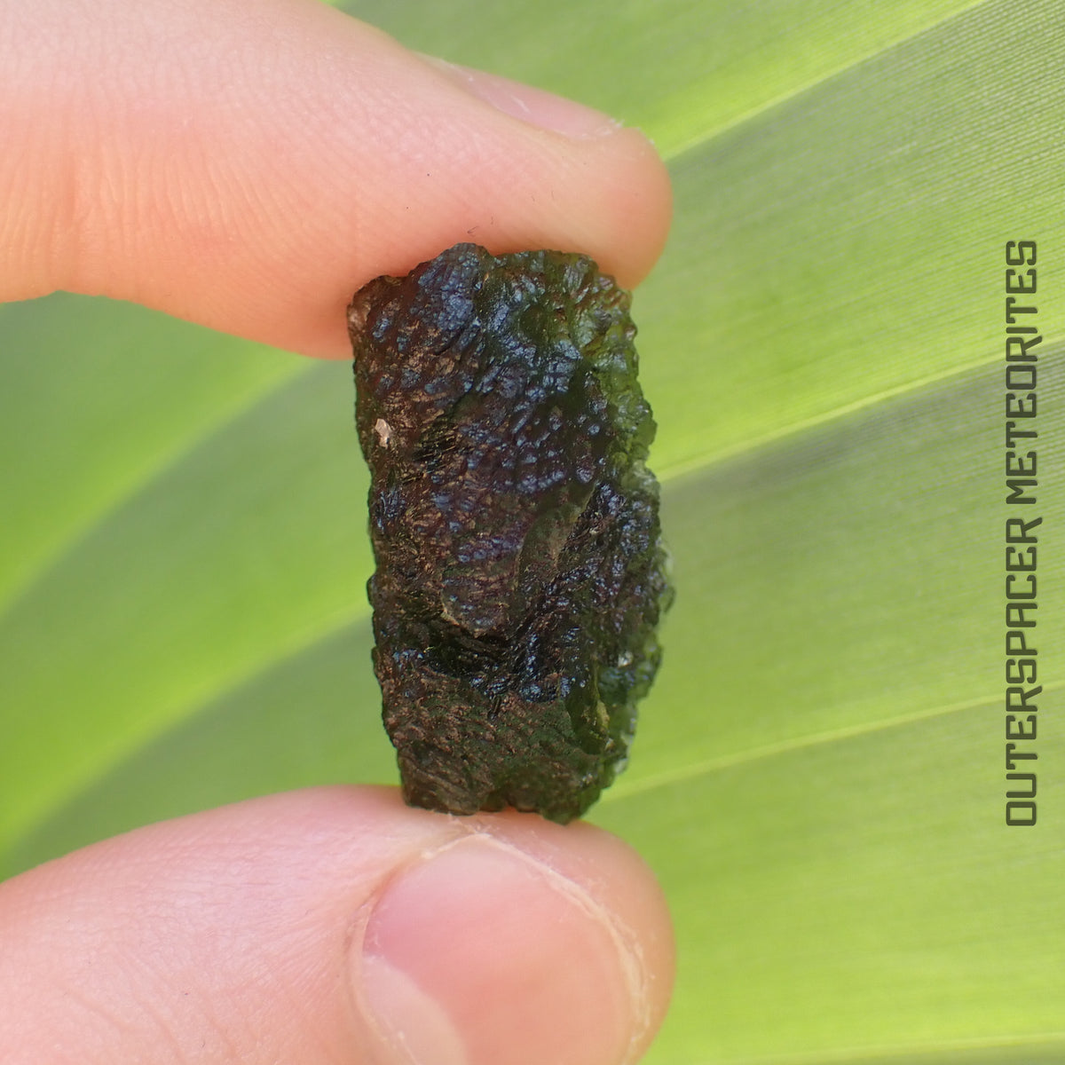 MOLDAVITE - TECTITE - Spécimen entier - 7,28g - République Tchèque (Besednice sever)