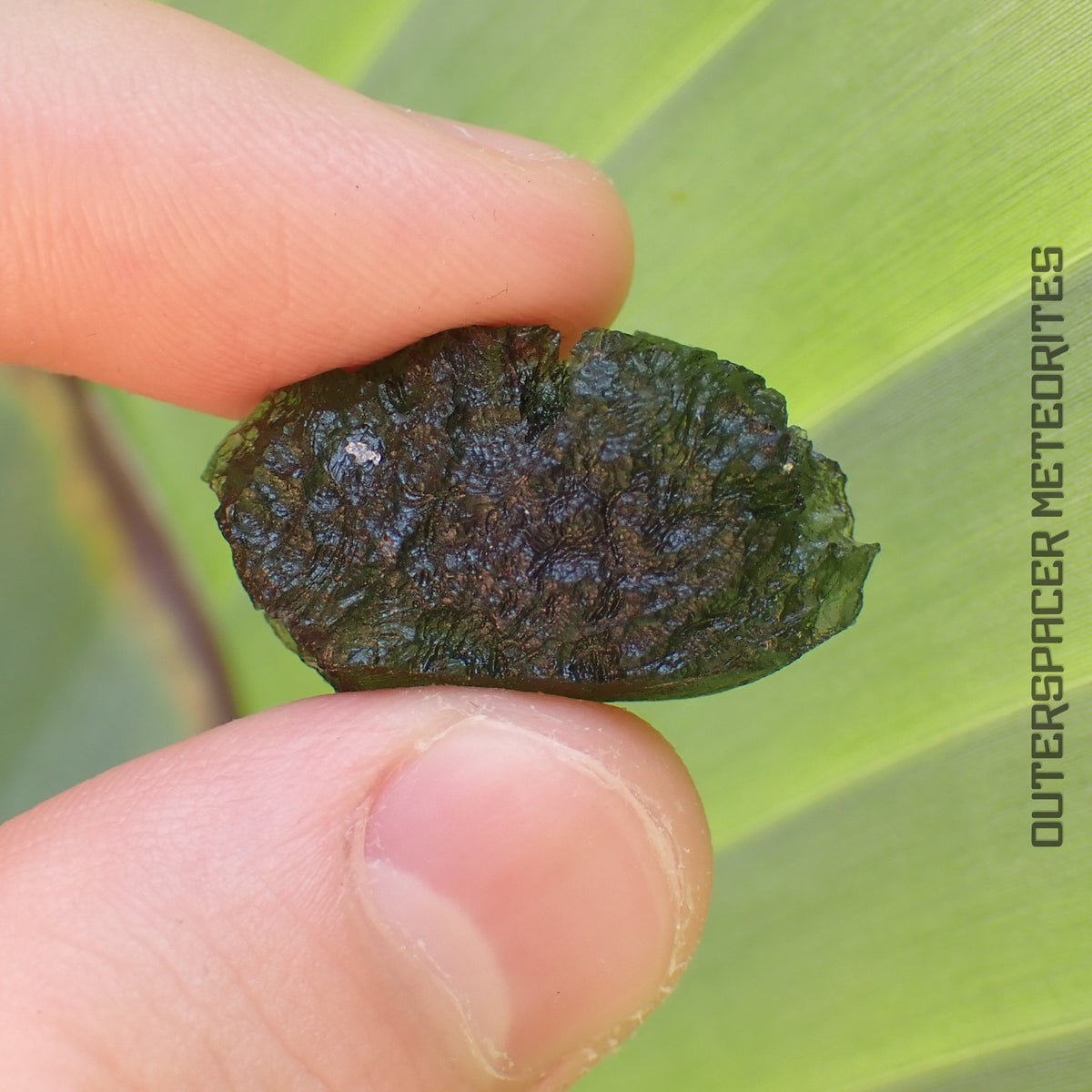 MOLDAVITE - TECTITE - Spécimen entier - 7,28g - République Tchèque (Besednice sever)
