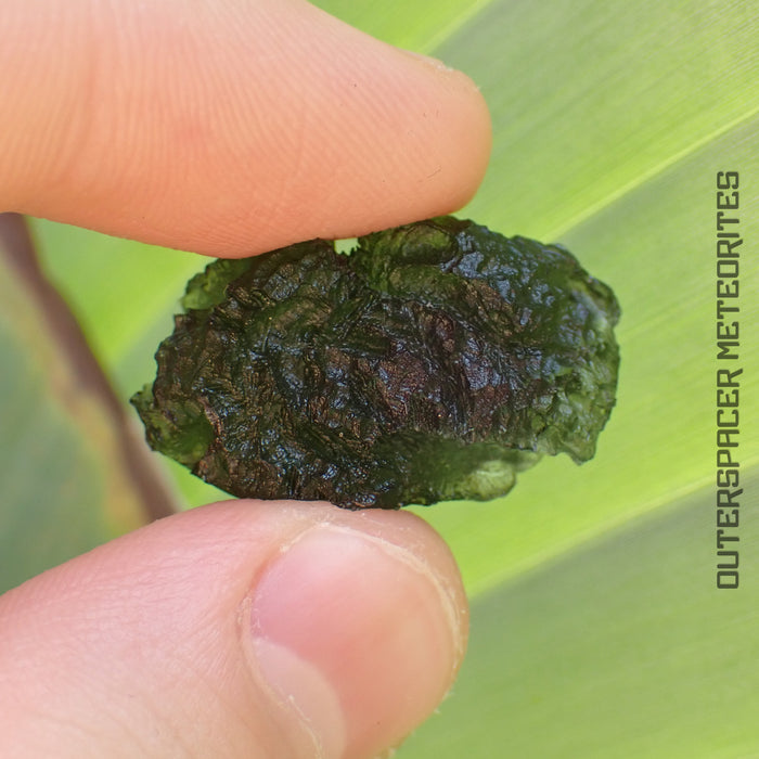 Moldavite - Tektite - Complete Individual - 7.28g- Czechia (Besednice sever)