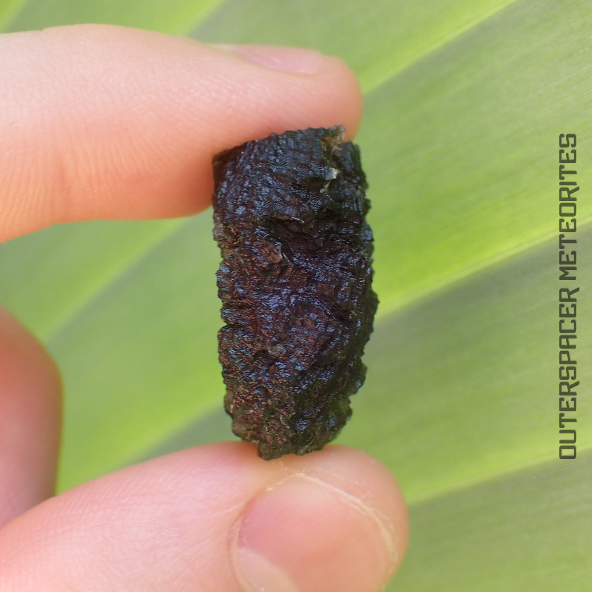 Moldavite - Tektite - Complete Individual - 9.27g - Czechia (Besednice sever)