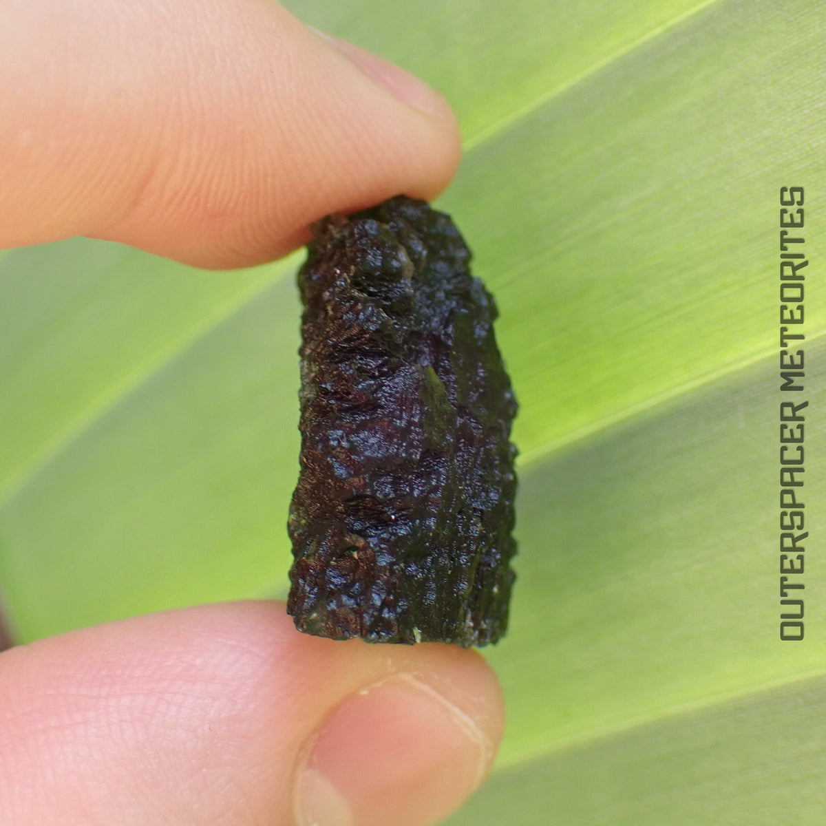 Moldavite - Tektite - Complete Individual - 9.27g - Czechia (Besednice sever)