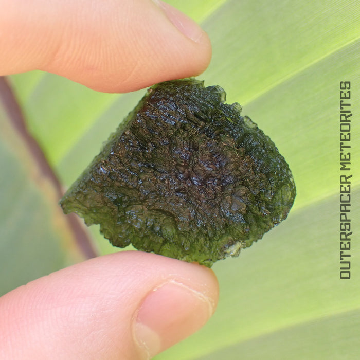 Moldavite - Tektite - Complete Individual - 9.27g - Czechia (Besednice sever)