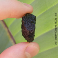 Moldavite - Tektite - Complete Individual - 9.27g - Czechia (Besednice sever)