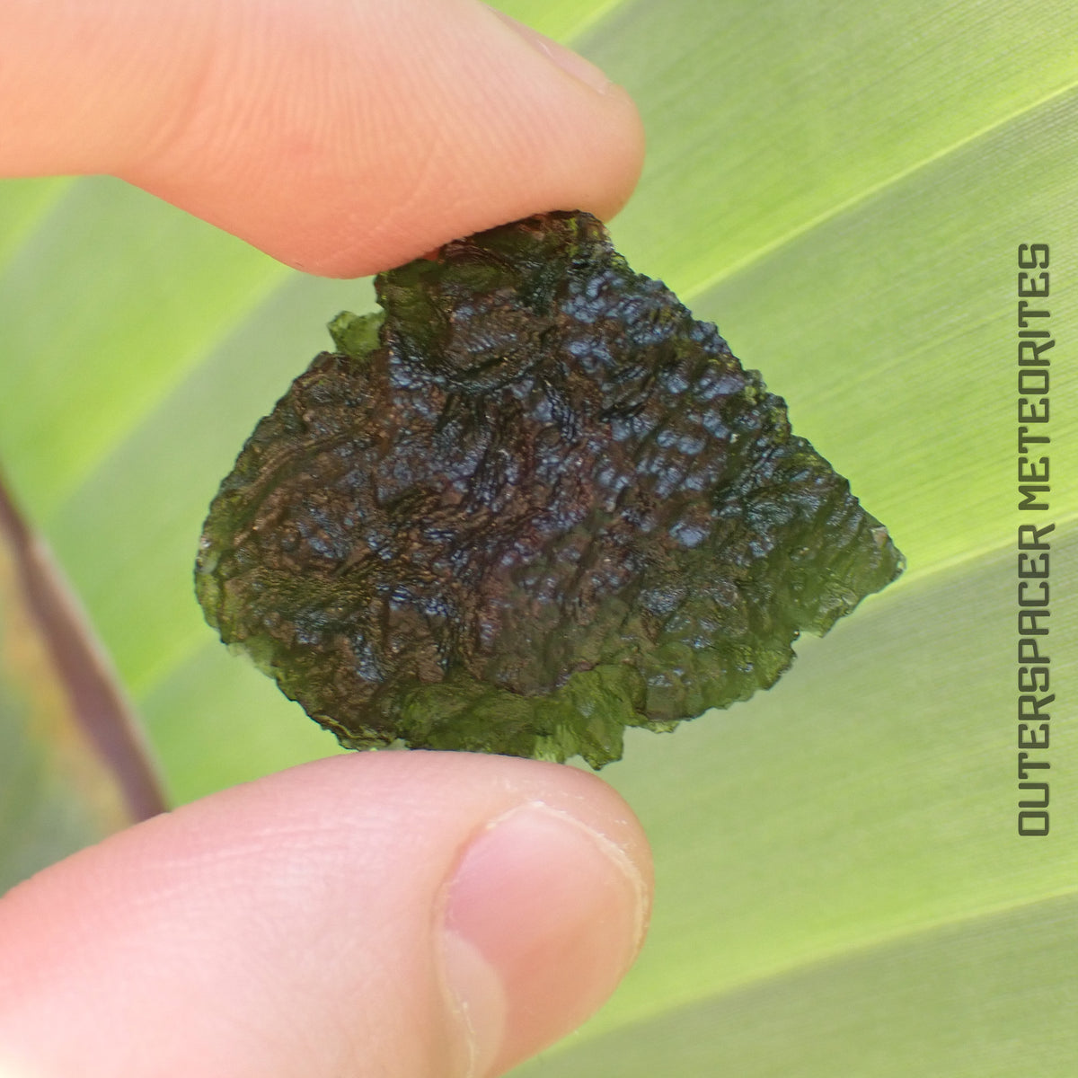 Moldavite - Tektite - Complete Individual - 9.27g - Czechia (Besednice sever)