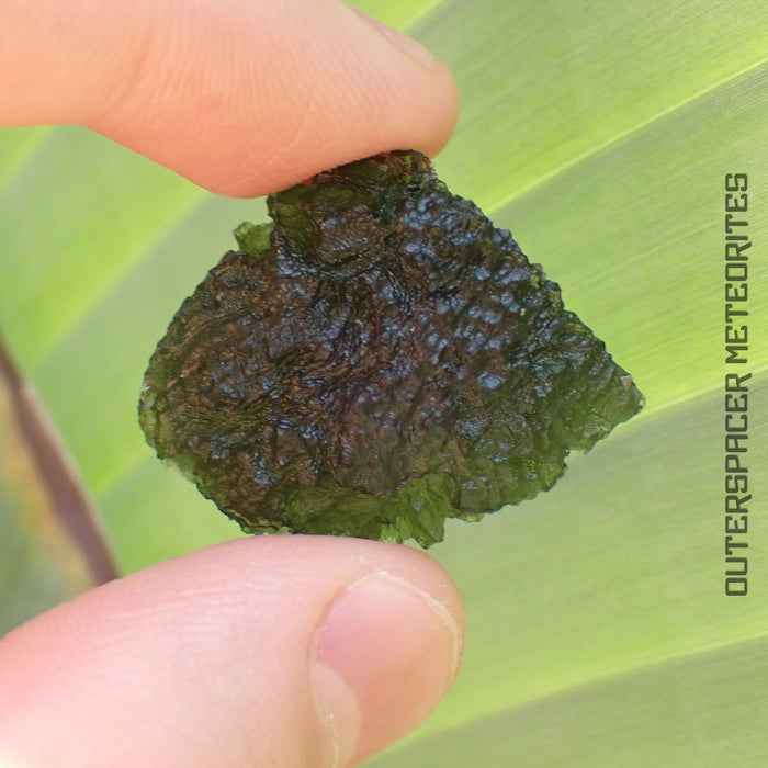 Moldavite - Tektite - Complete Individual - 9.27g - Czechia (Besednice sever)