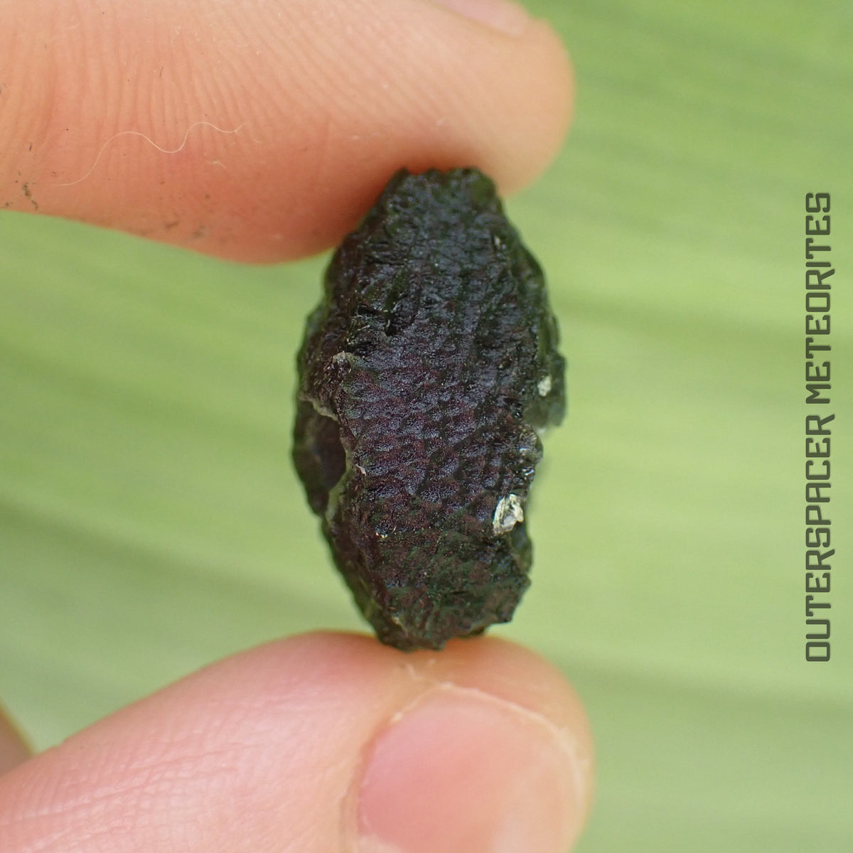 Moldavite - Tektite - Complete Individual - 5.81g - Czechia (Besednice sever)