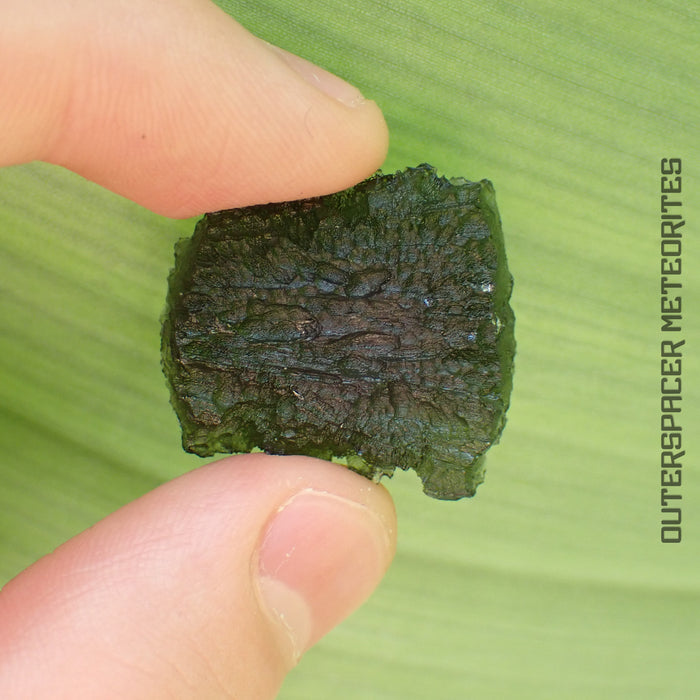 Moldavite - Tektite - Complete Individual - 7.44g - Czechia (Besednice sever)