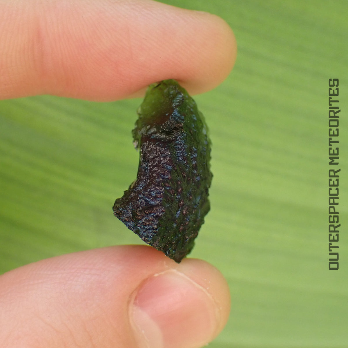 Moldavite - Tectite - Spécimen complet - 5,34g - Tchéquie (Besednice sever)