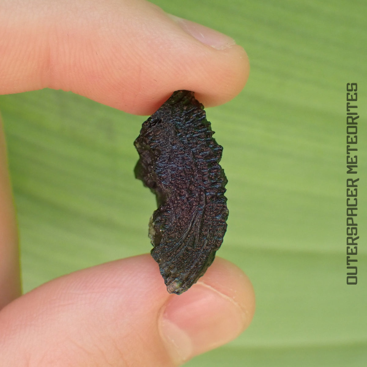 Moldavite - Tectite - Spécimen complet - 5,34g - Tchéquie (Besednice sever)