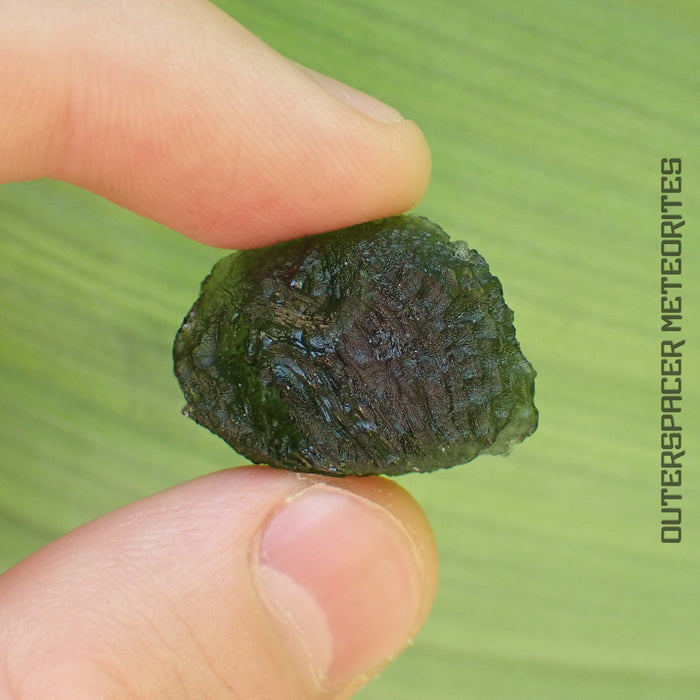 Moldavite - Tektite - Complete Individual - 5.95g -Czechia (Besednice sever)