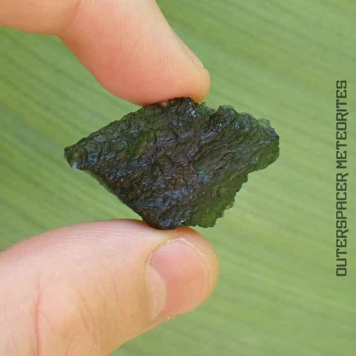 Moldavite - Tektite - Complete Individual - 7.12g - Czechia (Besednice sever)