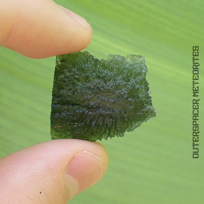 Moldavite - Tektite - Complete Individual - 6.89g - Czechia (Besednice sever)