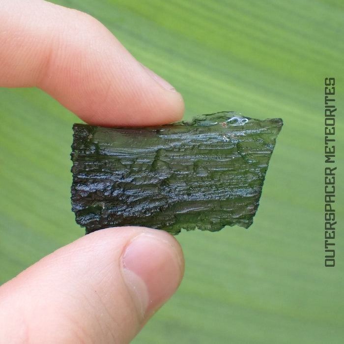 Moldavite - Tektite - Complete Individual - 8.81g - Czechia (Besednice sever)