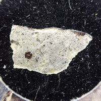 Mvskoke Merkv - Chondrite ordinaire L6 - Tranche partielle - 0,454g - États-Unis (Oklahoma)