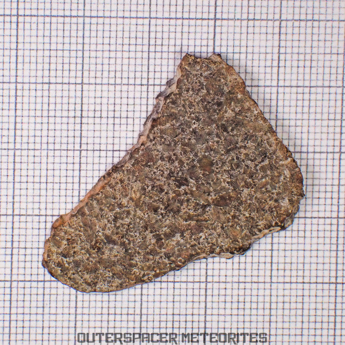 NWA 13187 Martian Shergottite (Diabasic) - Complete Slice - 6.26 g - Northwest Africa