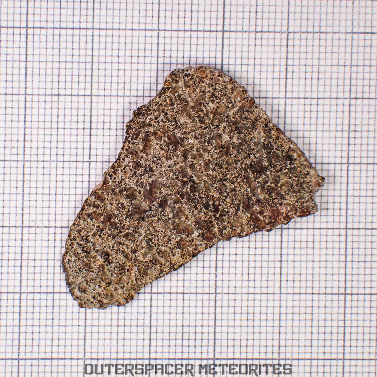 NWA 13187 - Martian Shergottite (Diabasic) - Complete Slice - 6.26g - Northwest Africa