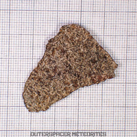 NWA 13187 - Martian Shergottite (Diabasic) - Complete Slice - 6.26g - Northwest Africa