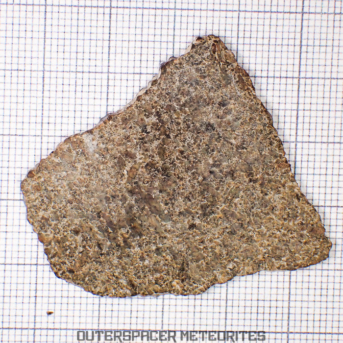 NWA 13187 Martian Shergottite (Diabasic) - Complete Slice - 6.36 g - Northwest Africa