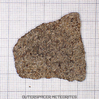 NWA 13187 - Martian Shergottite (Diabasic) - Complete Slice - 6.36g - Northwest Africa