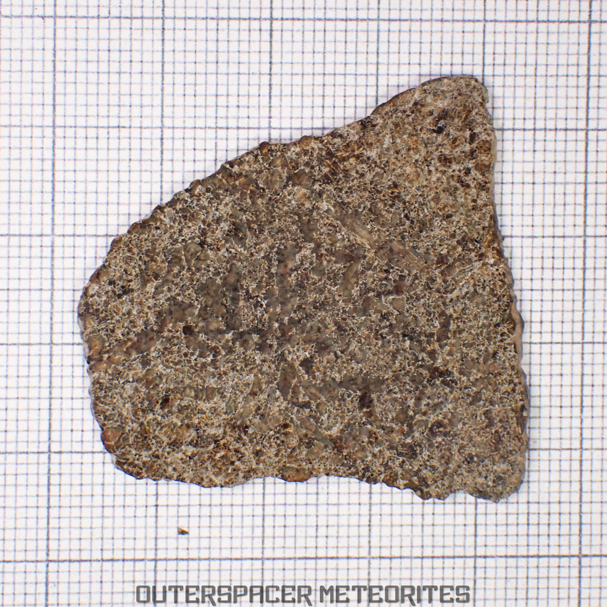 NWA 13187 Martian Shergottite (Diabasic) - Complete Slice - 6.36 g - Northwest Africa