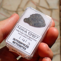 NWA 13187 - Martian Shergottite (Diabasic) - Complete Slice - 1.41g - Northwest Africa