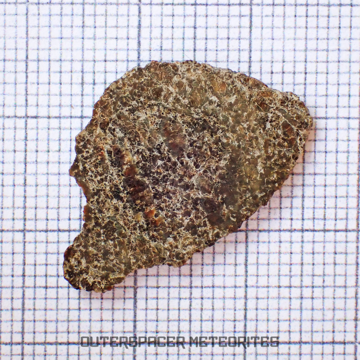 NWA 13187 - Martian Shergottite (Diabasic) - Complete Slice - 1.41g - Northwest Africa