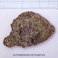 NWA 13187 - Martian Shergottite (Diabasic) - Complete Slice - 1.41g - Northwest Africa